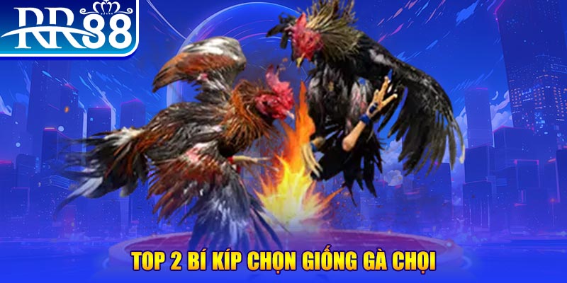 motchill vip đăng nhập poker số 1