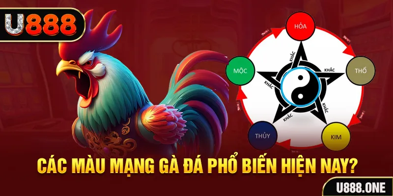 motchill vip đăng nhập mậu binh