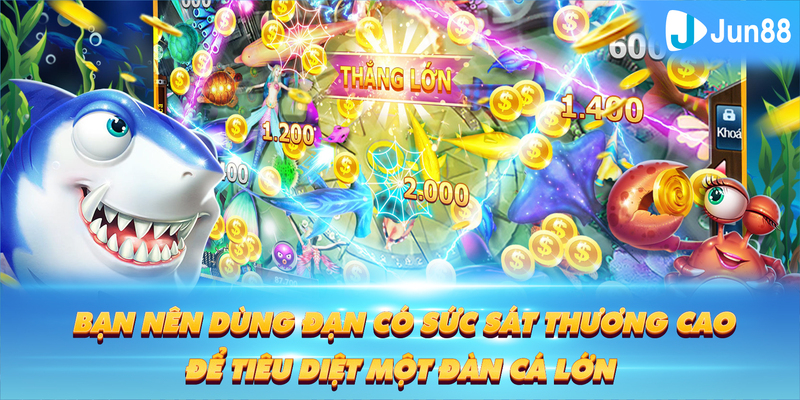 motchill vip Tung Đồng Xu