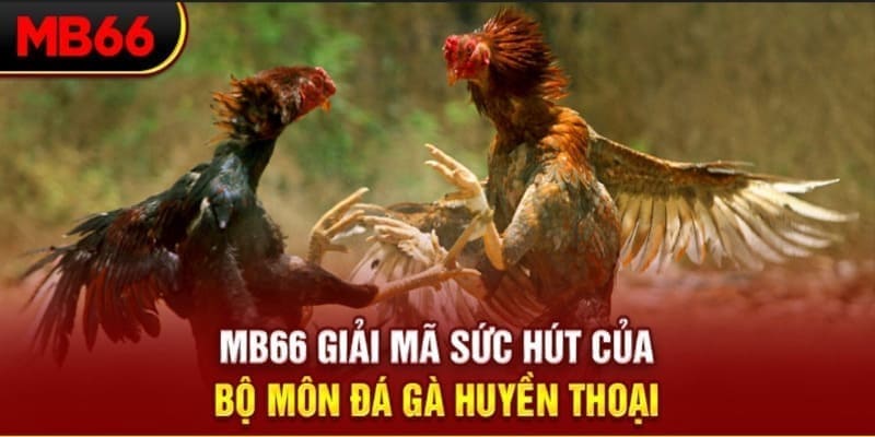 motchill vip Phi Đội Ưu Tú