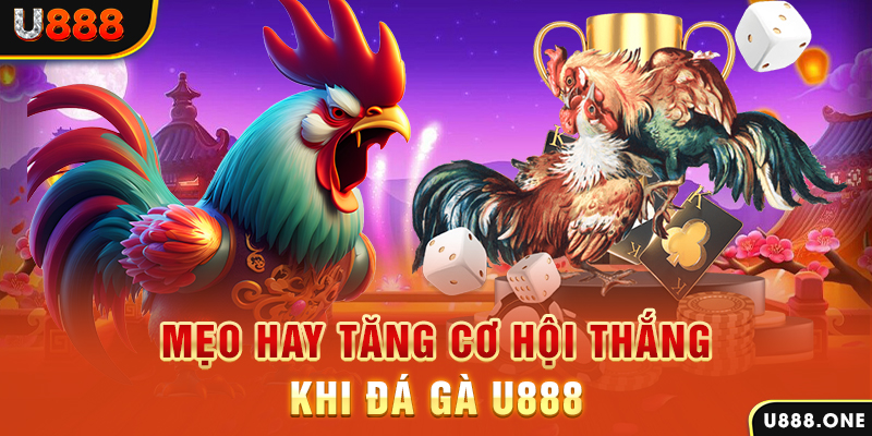 motchill vip trực tiếp gà chọi c1