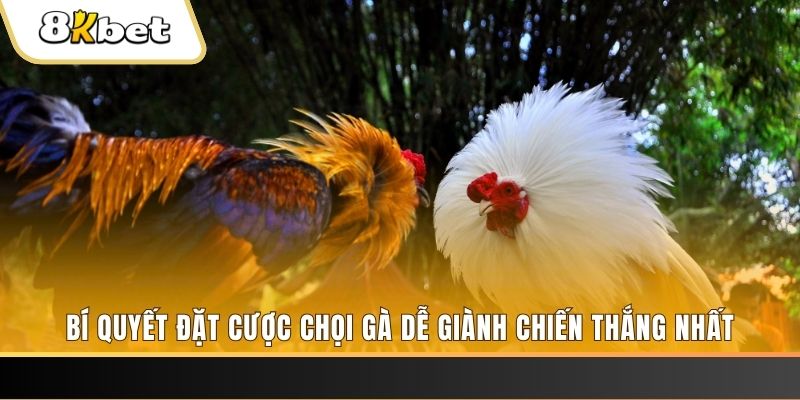 motchill vip Tài Xỉu 2