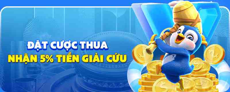 motchill vip gà chọi cu cần