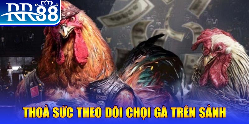 motchill vip đá gà 88.com