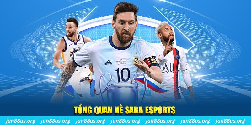 motchill vip gà chọi c1 tv trực tiếp hôm nay